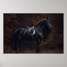 Atemberaubend Elegant Sport Dressage Friesian Stal