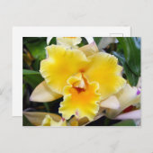 Atemberaubend Exotic Orchid Postkarte (Vorne/Hinten)