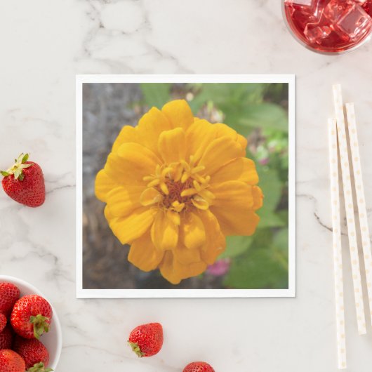 Atemberaubend Gartenrestaurant mit Party Napkin mi Serviette (Beispiel)