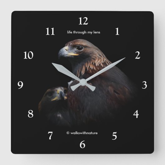 Atemberaubend Golden Eagles Beauties Thru Bars Quadratische Wanduhr (Vorderseite)