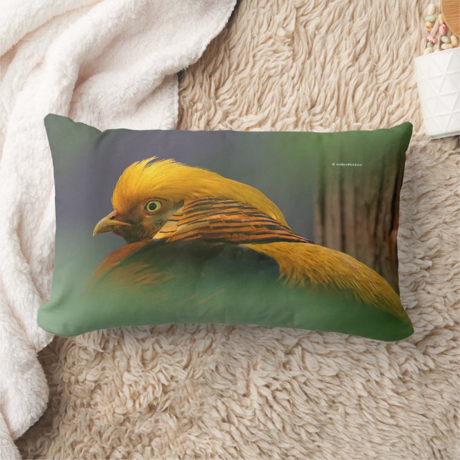 Atemberaubend Golden Pheasant Gamebird Lendenkissen (Decke)