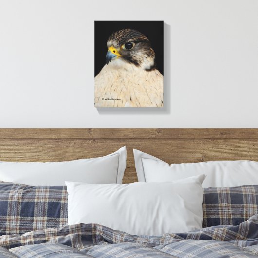 Atemberaubend Gyrfalcon Saker Hybrid Falcon Leinwanddruck (Insitu (Schlafzimmer))