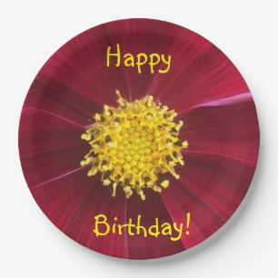 Atemberaubend Happy Birthday Cosmos Pappteller