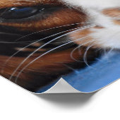 Atemberaubend King Charles Cavalier Poster (Ecke)