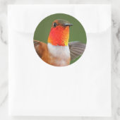 Atemberaubend Male Rufous Hummingbird Flying Jewel Runder Aufkleber (Tasche)