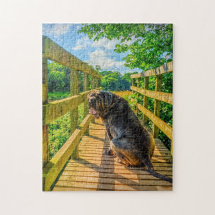 Atemberaubend Neapolitan Mastiff  Puzzle