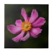 Atemberaubend Pink Japanisch Anemone Blume Fliese (Vorderseite)