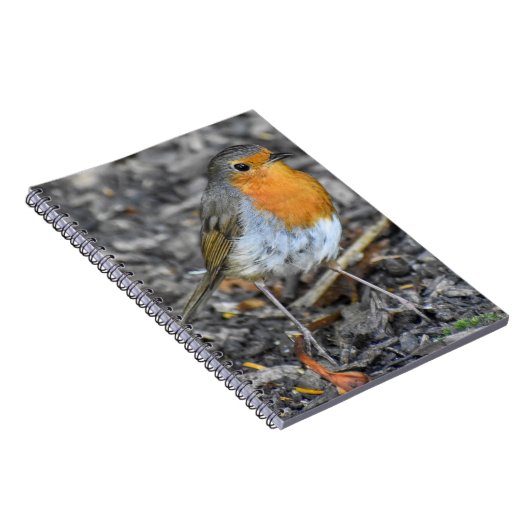 Atemberaubend Robin Notizblock (Rechte Seite)