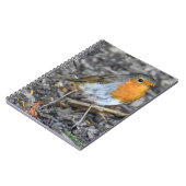 Atemberaubend Robin Notizblock (Linke Seite)