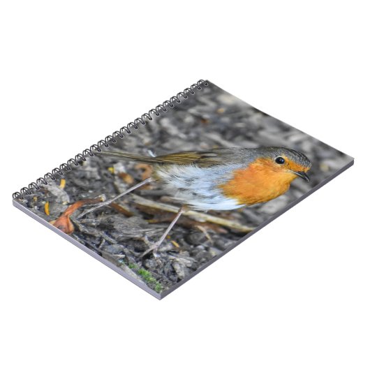 Atemberaubend Robin Notizblock (Linke Seite)