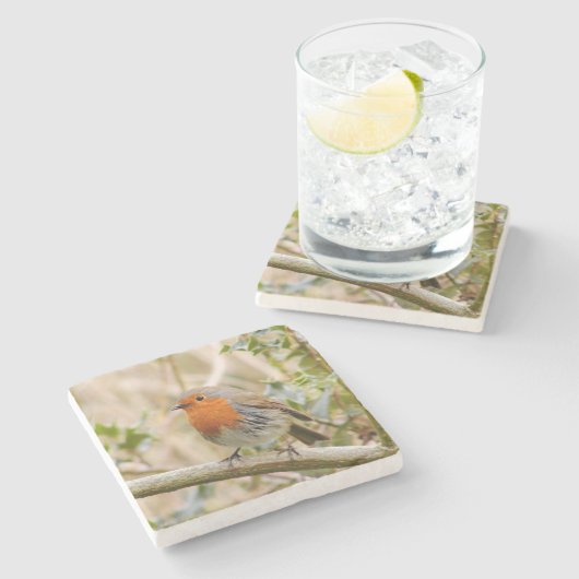 Atemberaubend Robin Steinuntersetzer (Seitenansicht)