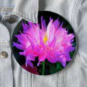 Atemberaubend rosa und Lila Kaktus Dahlia Button (Beispiel)