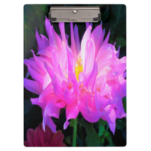 Atemberaubend rosa und Lila Kaktus Dahlia Klemmbrett