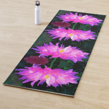 Atemberaubend rosa und Lila Kaktus Dahlia