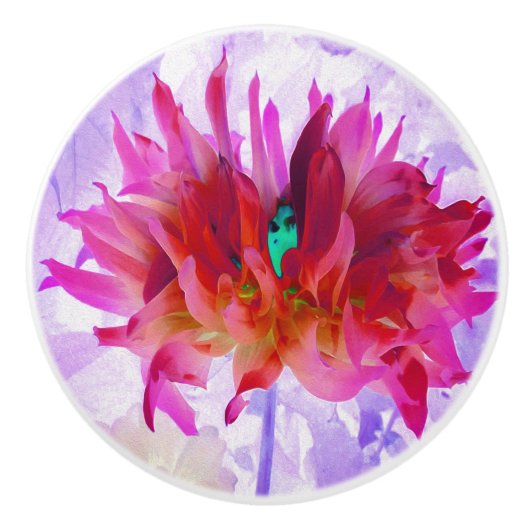 Atemberaubend Rot und Heiß rosa Kaktus Dahlia Keramikknauf (Vorderseite)