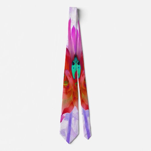 Atemberaubend Rot und Heiß rosa Kaktus Dahlia Krawatte (Vorderseite)