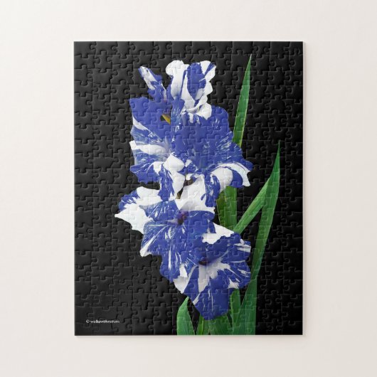 Atemberaubend Royal Blue & White Gladiolus Sword L Puzzle (Vertikal)