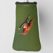 Atemberaubend Rufous Hummingbird auf dem Kirschbau Golf Headcover (Rotieren 90)