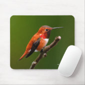 Atemberaubend Rufous Hummingbird auf dem Kirschbau Mousepad (Mit Mouse)