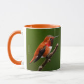 Atemberaubend Rufous Hummingbird auf dem Zweig Che Tasse (Links)