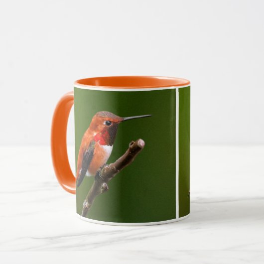 Atemberaubend Rufous Hummingbird auf dem Zweig Che Tasse (Vorderseite Links)