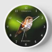 Atemberaubend Rufous Hummingbird auf Fruchtbaum Uhr (Vorderseite)