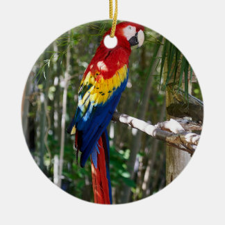 Atemberaubend Scarlet Macaw Parrot Keramik Ornament