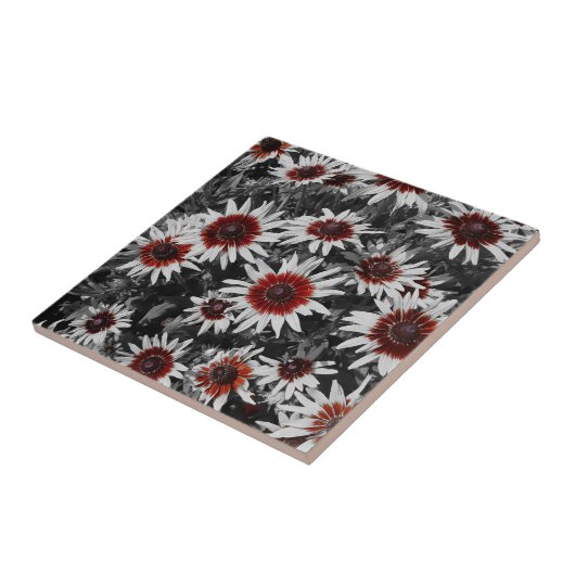 Atemberaubend Schwarz-Mit Augen Susans Keramik Til Fliese (Seite)