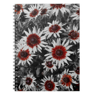 Atemberaubend Schwarz-Mit Augen Susans Spiral-Note Notizblock