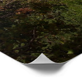 Atemberaubend - Sedona, Arizona Poster (Ecke)