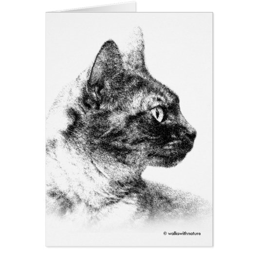 Atemberaubend Stella the Gray Cat One Fine Feline (Vorne)