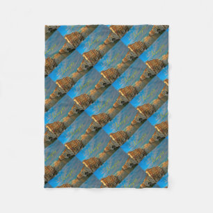 Atemberaubend! Venedig Grand Canal Venedig - Pro F Fleecedecke