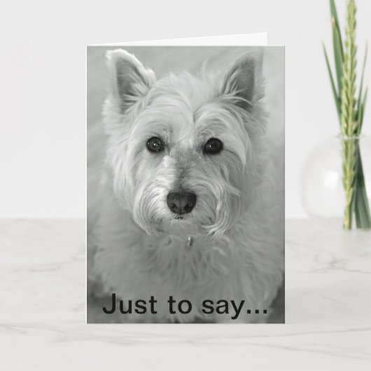 Atemberaubend Westie Dog - Sorry card Karte (Vorderseite)