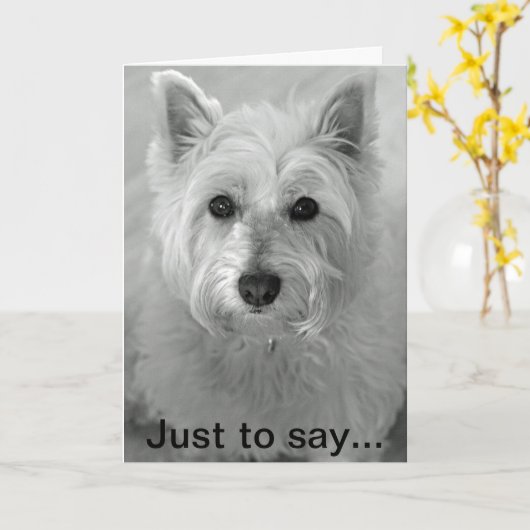 Atemberaubend Westie Dog - Sorry card Karte (Gelbe Blume)