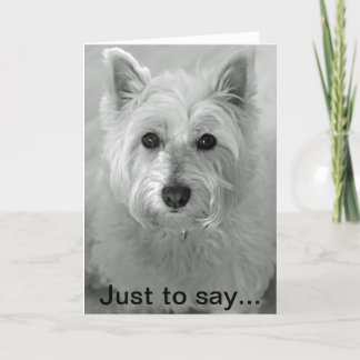 Atemberaubend Westie Dog - Sorry card Karte