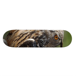 Atemberaubende Adler-Eule mit orange Augen Skateboard