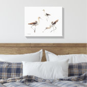 Atemberaubende amerikanische Avocets Shorebirds am Leinwanddruck (Insitu (Schlafzimmer))