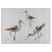 Atemberaubende amerikanische Vögel am Strand Schneidebrett (Vorderseite)