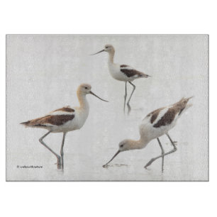 Atemberaubende amerikanische Vögel am Strand Schneidebrett