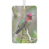 Atemberaubende Anna-Hummingbird im Pflaumenbaum Autolufterfrischer (Rückseite)