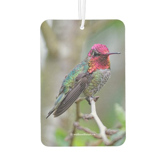 Atemberaubende Anna-Hummingbird im Pflaumenbaum Autolufterfrischer (Rückseite)