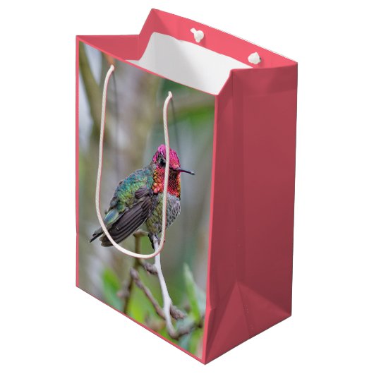 Atemberaubende Anna-Hummingbird im Pflaumenbaum Mittlere Geschenktüte (Vorderseite Schrägansicht)