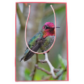 Atemberaubende Anna-Hummingbird im Pflaumenbaum Mittlere Geschenktüte (Vorderseite)