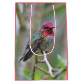 Atemberaubende Anna-Hummingbird im Pflaumenbaum Mittlere Geschenktüte (Rückseite)