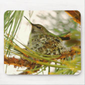 Atemberaubende Anna-Hummingbird-Mama auf Nest Mousepad (Vorne)