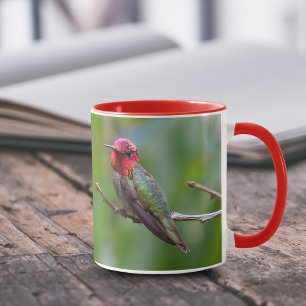 Atemberaubende Anna's Hummingbird auf Obstbaum Tasse