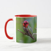 Atemberaubende Anna's Hummingbird auf Obstbaum Tasse (Links)