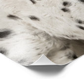 Atemberaubende Appaloosa Fotodruck (Ecke)