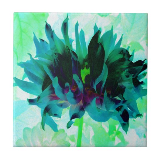 Atemberaubende Aquamarine und schwarze Kaktus Dahl Fliese (Vorderseite)