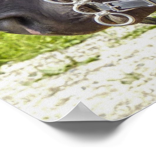 Atemberaubende Arbeitspferde in Kabelbaum Poster (Ecke)